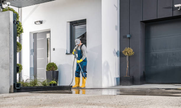 Animal Enclosure Cleaning in Anchorage, KY